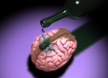 L’alcol attacca il cervello: ecco la prova fotografica