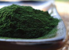Green Algae a Source of Potent Anti-Fat Compound