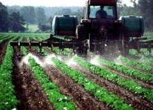 Fertilità maschile a rischio con i pesticidi nei cibi