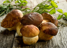 Shitake Mushrooms May Boost Immunity.